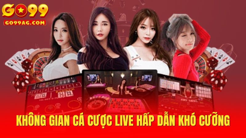 Không gian cá cược live hấp dẫn khó cưỡng